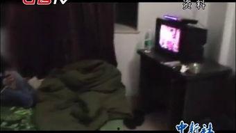 国产男同志tv视频在线观看,在线观看,尽享激情瞬间